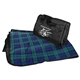 a plaid blue picnic stadium blanket