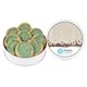 a white tin & blue cookie fresh beginnings sugar cookie tin (small)