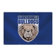 a white 13 oz vinyl banner (single - sided) 2 x 4 with grommets