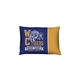 aerial view a custom 14 x 20 indoor pillow kit single - sided, image 1 of 2
