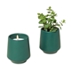 aerial view a dark teal/thyme modern sprout(r) rooted candle, image 1 of 7