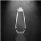 aerial view a clear optically perfect octagon top award, image 1 of 2