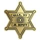 aerial view a matte gold badge sticker on roll sheriff 2 9/16 x 3 1/16 foil papers roll of 1000, image 1 of 2