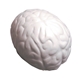 aerial view a gray brain squeezies - stress reliever, image 1 of 7