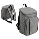 aerial view a gray woodland polycanvas cooler backpack, image 1 of 4