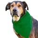 aerial view a green cotton big doggy pet bandana, image 1 of 2
