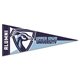 a group of 5 x 12 premium felt pennant - with 1 printed strip