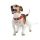 a group of quiet pet tag silencer