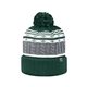 a forest j america adult altitude knit cap