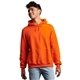 aerial view a burnt orange russell athletic unisex dri - power(r) hooded sweatshirt, image 1 of 3