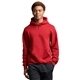 aerial view a cardinal russell athletic unisex dri - power(r) hooded sweatshirt, image 1 of 3