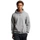 aerial view a oxford russell athletic unisex dri - power(r) hooded sweatshirt, image 1 of 3