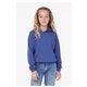 aerial view a hthr true royal bella + canvas youth sponge fleece pullover hooded sweatshirt, image 1 of 3