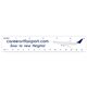 a group of plastic ruler 1 3/16 x 6 3/16 .020 thickness