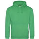 aerial view a kelly green awdis college hooded sweatshirt, image 1 of 2