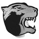 a group of foam cougar hat for versatile branding