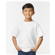 a group of gildan - softstyle(r) youth midweight t - shirt