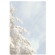 a snow tree memo board 5-1/2 x 8-1/4 w / mag