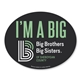 aerial view a custom car sign oval magnet 5 x 4, image 1 of 2