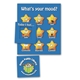 aerial view a stars magnetic personality mood magnet, image 1 of 2