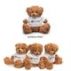 a brown bear with white shirt 6 teddy bear with t - shirt
