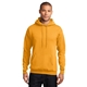 aerial view a gold port company classic pullover hooded sweatshirt, image 1 of 6