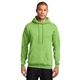 aerial view a lime port company classic pullover hooded sweatshirt, image 1 of 6