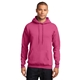 aerial view a sangria port company classic pullover hooded sweatshirt, image 1 of 6