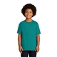 aerial view a jade dome gildan(r) - youth ultra cotton(r) 100 cotton t - shirt, image 1 of 6