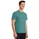 aerial view a peacock port company essential pigment - dyed tee, image 1 of 3