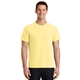 aerial view a popcorn port company essential pigment - dyed tee, image 1 of 6