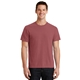 aerial view a red rock port company essential pigment - dyed tee, image 1 of 6