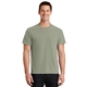 aerial view a walnut port company essential pigment - dyed tee, image 1 of 6