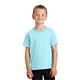 aerial view a glacier port company(r) - youth pigment - dyed tee, image 1 of 5