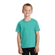 aerial view a peacock port company(r) - youth pigment - dyed tee, image 1 of 5