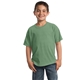 aerial view a safari port company(r) - youth pigment - dyed tee, image 1 of 3