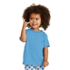 aerial view a aquatic blue port co(tm) toddler core cotton tee, image 1 of 5