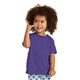 aerial view a purple port co(tm) toddler core cotton tee, image 1 of 5