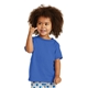 aerial view a royal port co(tm) toddler core cotton tee, image 1 of 5