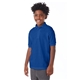 aerial view a deep royal hanes 5.2 oz, 50/50 ecosmart(r) jersey knit polo - 054y, image 1 of 4