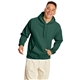 aerial view a deep forest hanes 7.8 oz ecosmart(r) 50/50 pullover hood - p170, image 1 of 2