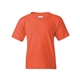 aerial view a coral silk gildan heavy cotton(tm) youth t - shirt, image 1 of 3