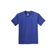 aerial view a deep royal hanes(r) - youth tagless(r) 100 cotton t - shirt - 5450, image 1 of 2