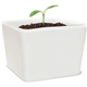 aerial view a white two - piece ceramic planter with bamboo base, image 1 of 4