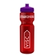 a transparent red bottle & violet lid & translucent frost infuser basket 28 oz infuser water bottle