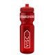 aerial view a transparent red bottle & red lid & translucent frost infuser basket 28 oz infuser water bottle, image 1 of 2