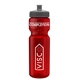 a transparent red bottle & gray lid & translucent frost infuser basket 28 oz infuser water bottle