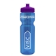 a transparent blue bottle & violet lid & translucent frost infuser basket 28 oz infuser water bottle