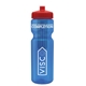 a transparent blue bottle & red lid & translucent frost infuser basket 28 oz infuser water bottle
