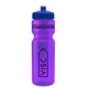 a transparent violet bottle & royal blue lid & translucent frost infuser basket 28 oz infuser water bottle